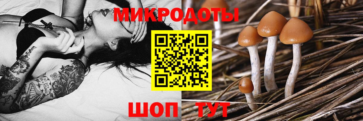 Галлюциногенные грибы Cubensis  Вход с VPN  Ялуторовск 