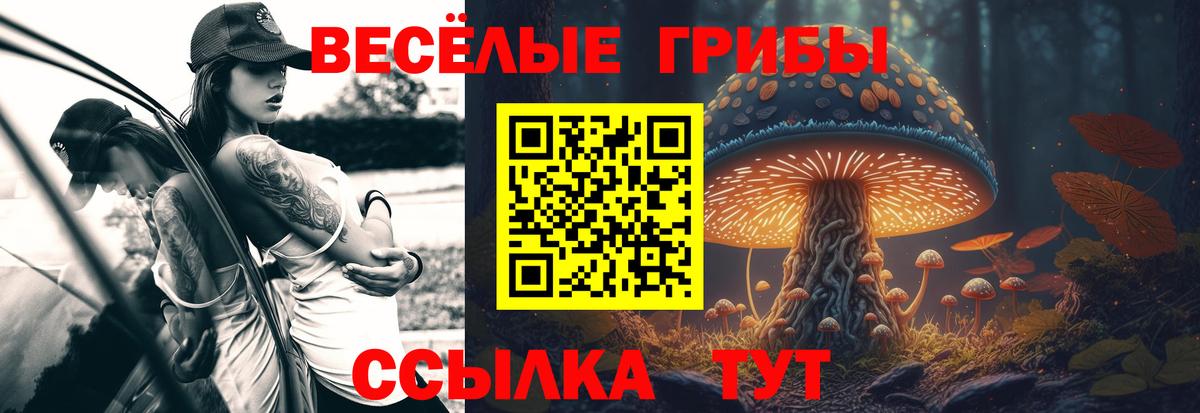 Галлюциногенные грибы ЛСД Ялуторовск